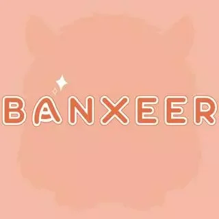 Logo Banxeer Official Store