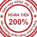 Logo dienmayvangvietnam