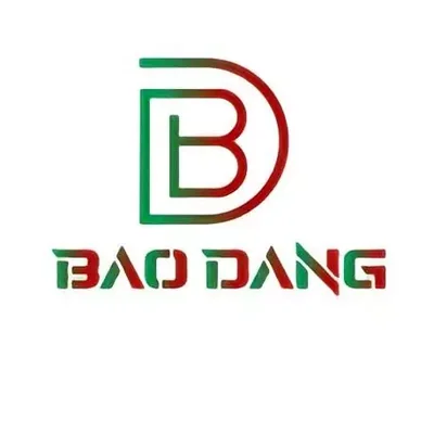 Logo BAO DANG fashion