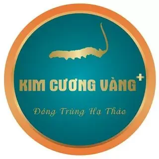 Logo Kim Cương Vàng Plus