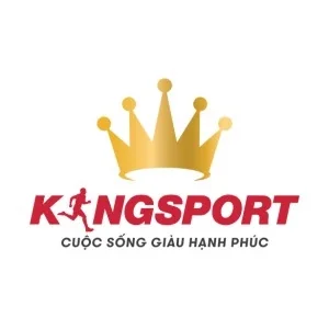 Logo Kingsport Official Store