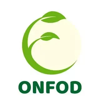 Logo ONFOD - THỰC PHẨM HỮU CƠ
